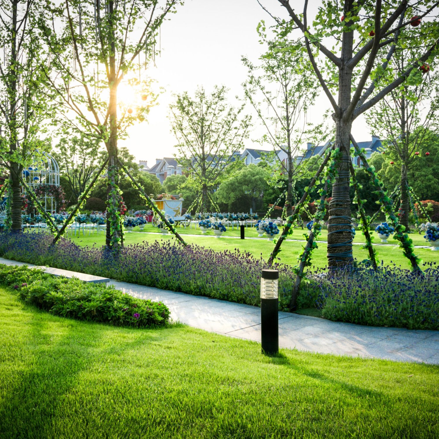 Expert Landscape Designer Campbell | 40 Years Proven Results